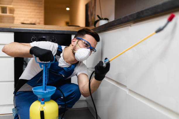 Best Termite Control Services  in Greeneville, TN
