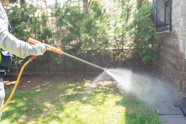 Best Local Pest Control Services  in Greeneville, TN